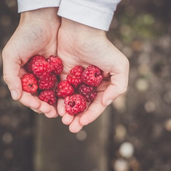 A Guide to Volunteers in the Workplace